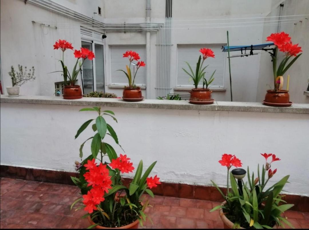 Apartment Colores